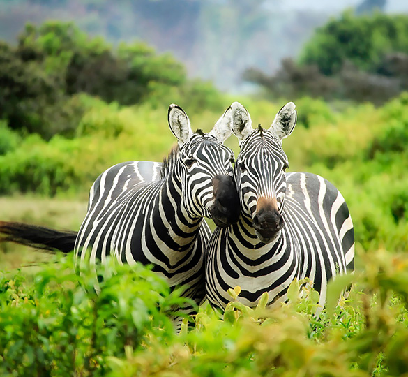 Kenya